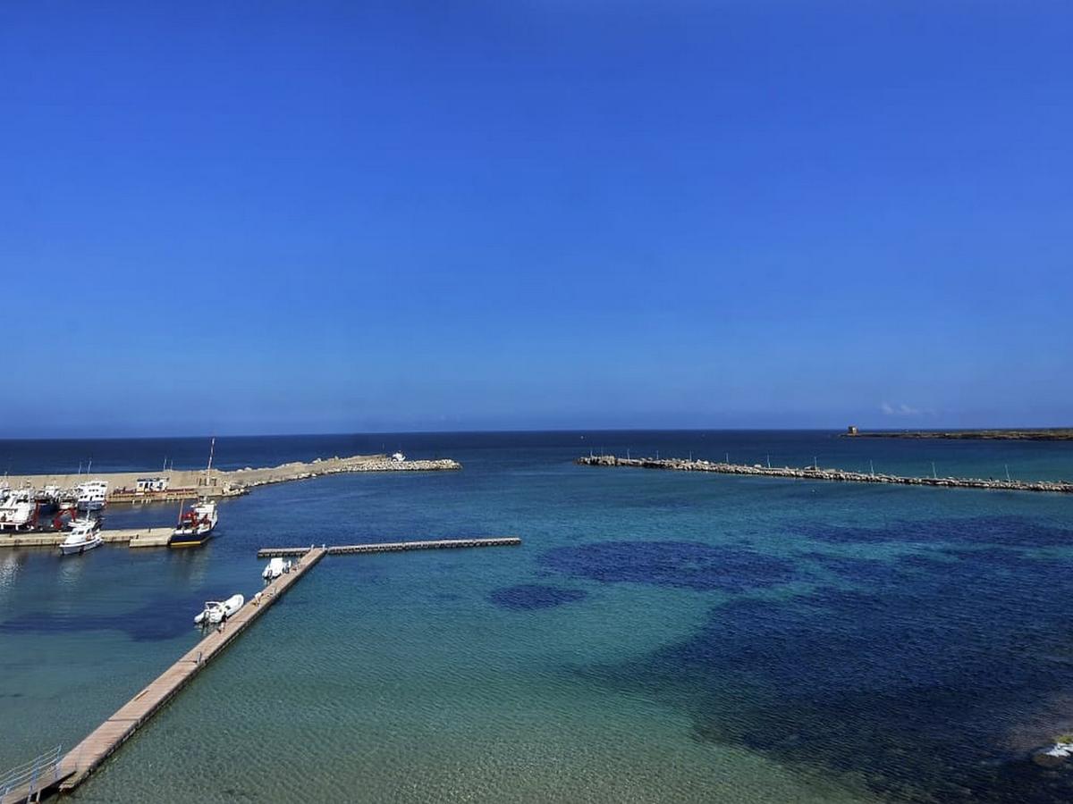 شينيسي Palm Beach Hotel المظهر الخارجي الصورة